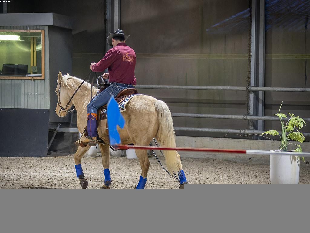 អញ្ញើនៃការប្រកួតកីឡា: ការប្រឈមមុខនិងសមត្ថភាព